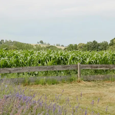 Casa de Férias Cozy In Near Pillnitzer Schloss