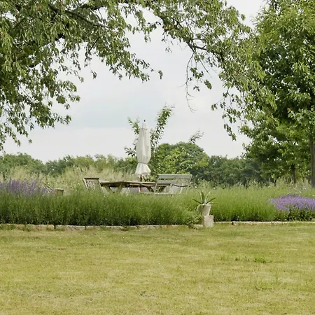 Cozy In Near Pillnitzer Schloss Nyaraló *