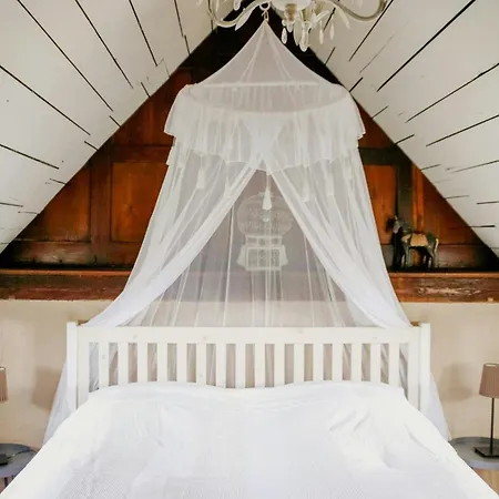 Dom wakacyjny Cozy In Near Pillnitzer Schloss Drezno