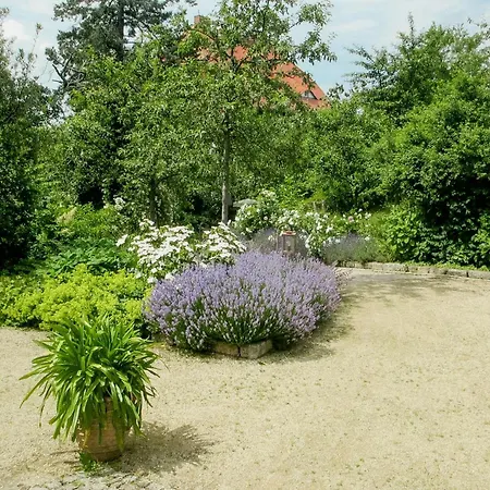 Cozy In Near Pillnitzer Schloss *