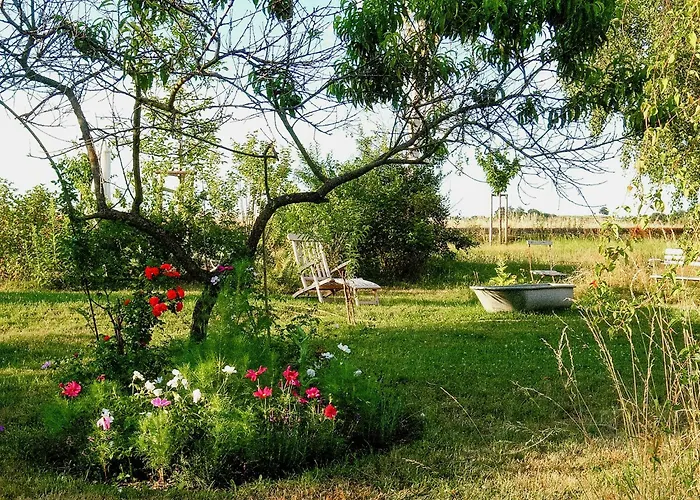 Cozy In Near Pillnitzer Schloss 度假居