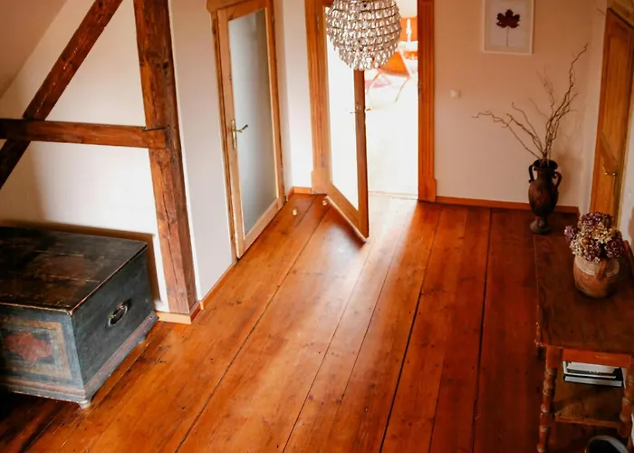 Cozy In Near Pillnitzer Schloss *