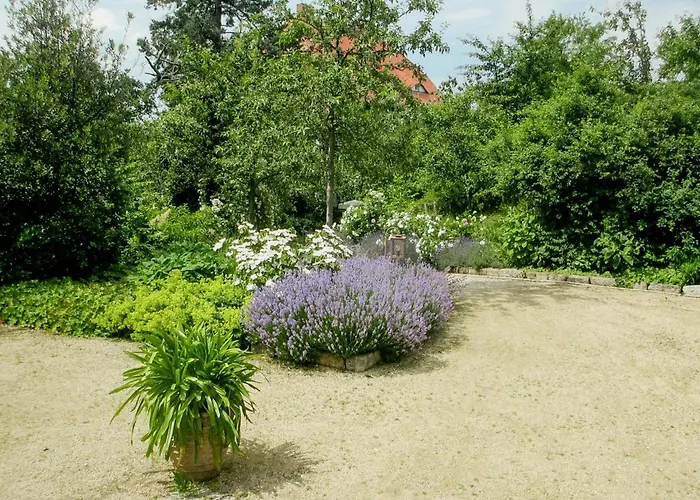 Cozy In Near Pillnitzer Schloss *