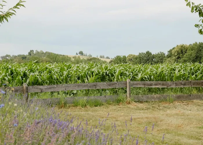 Cozy In Near Pillnitzer Schloss * 德累斯顿