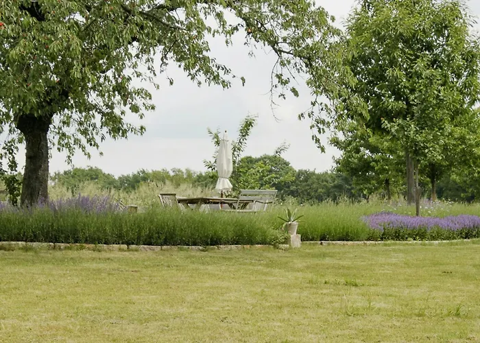 Cozy In Near Pillnitzer Schloss * 德累斯顿