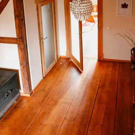 Cozy In Near Pillnitzer Schloss Дом отдыха *