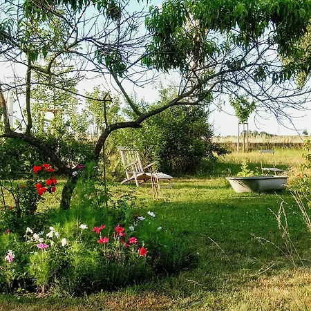 Cozy In Near Pillnitzer Schloss بيت للعطل