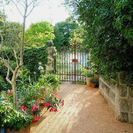 Cozy In Near Pillnitzer Schloss * دريسدن